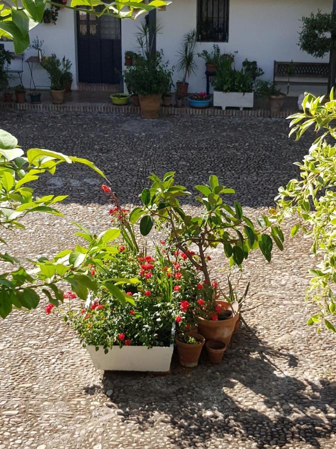 Apartmán Patio Andaluz Siglo XVI Sevilla Exteriér fotografie