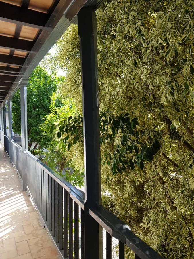 Apartmán Patio Andaluz Siglo XVI Sevilla Exteriér fotografie